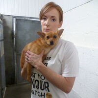 Rescue charity concerned about change of dog pound