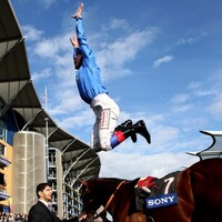 Five Steps to Heaven: Cheltenham Special