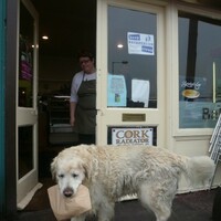 Give a dog a scone...