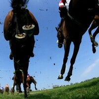 Mark Your Card: Grand National day at Aintree
