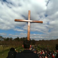 Catholic Church child welfare watchdog to publish audit results today