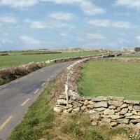 Rural hackney licences to be given out for &acirc;�&not;50