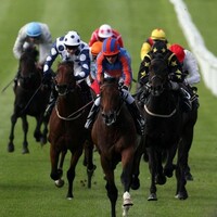 Minister supports doubling of betting tax to fund Irish horseracing industry 