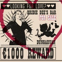 Irish pub posts lonely heart ad to find a new owner