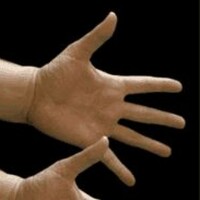 11 mesmerising perfect loops to watch in bed 