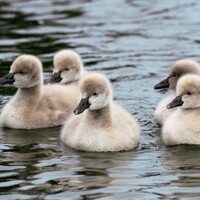 The 5 at 5: Thursday