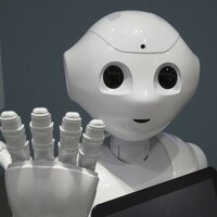'Automation is Voldemort': tech experts polled on the future impact of robots and AI