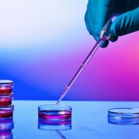 Trinity scientists discover how to attack a bacteria that causes cystic fibrosis infections