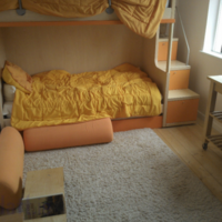 Daft rental in Shankill offers a room AND ‘healing technology’