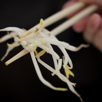 Don’t eat raw bean sprouts: a warning from the Food Safety Authority