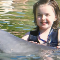 'Drop in donations means we can't grant as many kids' wishes'