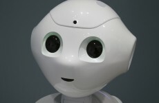 Google working on quantum computing chip that will help develop artificial intelligence