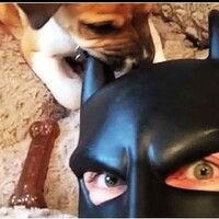 BatDad is back with a new compilation, and he's better than ever