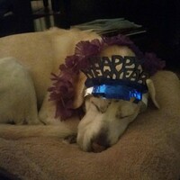 8 people who have already failed spectacularly at keeping a New Year's resolution