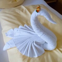 A new hotel brand is about to start popping up all over Ireland