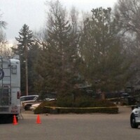 Pregnant woman stabbed and baby taken from her womb after answering internet ad