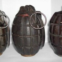 Army bomb squad disarm grenade in the Phoenix Park  