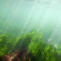 Like swimming in Ireland? The bathing water is classified as 'poor' in these locations...