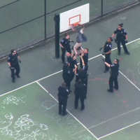 A rake of police had to rescue a man who got stuck in a basketball net