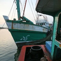 'Between 100 and 200' killed in carnage aboard abandoned migrant boat