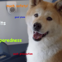 How many memes can you recognise in this epic airline safety video?