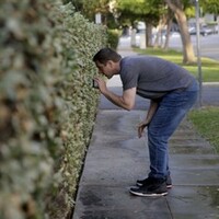 Caught in the act: People are shaming their neighbours for wasting water