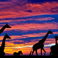 Want to see Ireland as a tourist? These are the official top 10 attractions...