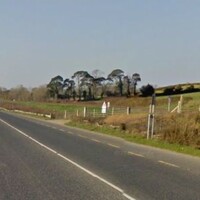 Elderly woman dies after her car collides with truck 