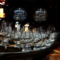 This Dingle whiskey distillery is selling vodka and gin to help fund the business