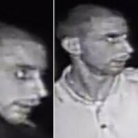 Man pleads guilty to sexual assault on horse