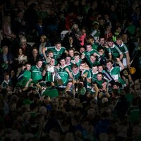 Sensational Limerick are U21 champions after Wexford rout