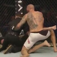 Referee comes in for criticism following late stoppage at UFC Dublin