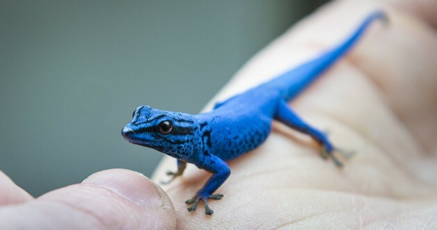 Here’s What Happened Today: Thursday