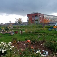 Overcrowding, severe mould, rotting wood: The issues with this Celtic Tiger council estate haven't gone away