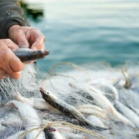 Fisherman says the state confiscated his fish, then sold it themselves