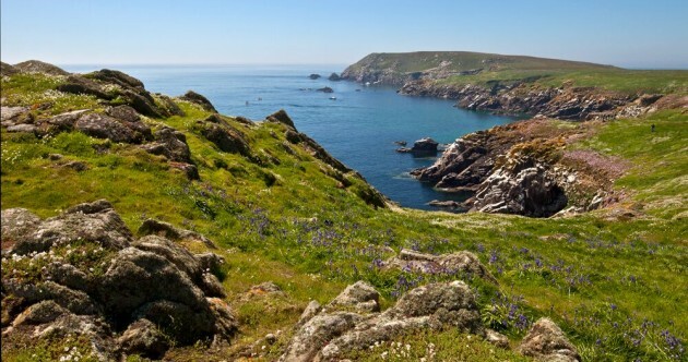 'We've got Vikings, comedy and opera. Here's why Waterford, Wexford and Kilkenny are better than all the rest'