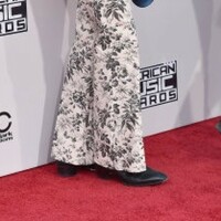 Harry Styles wore bootcut pants last night, and nobody's having it