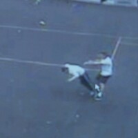 Ireland's most dangerous prisons: Around the country staff are working in constant danger 