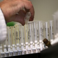 There were no failed doping tests at this year's Rugby World Cup