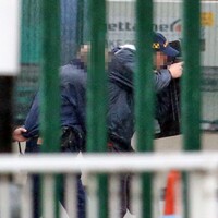 Family found safe and well after tiger kidnapping