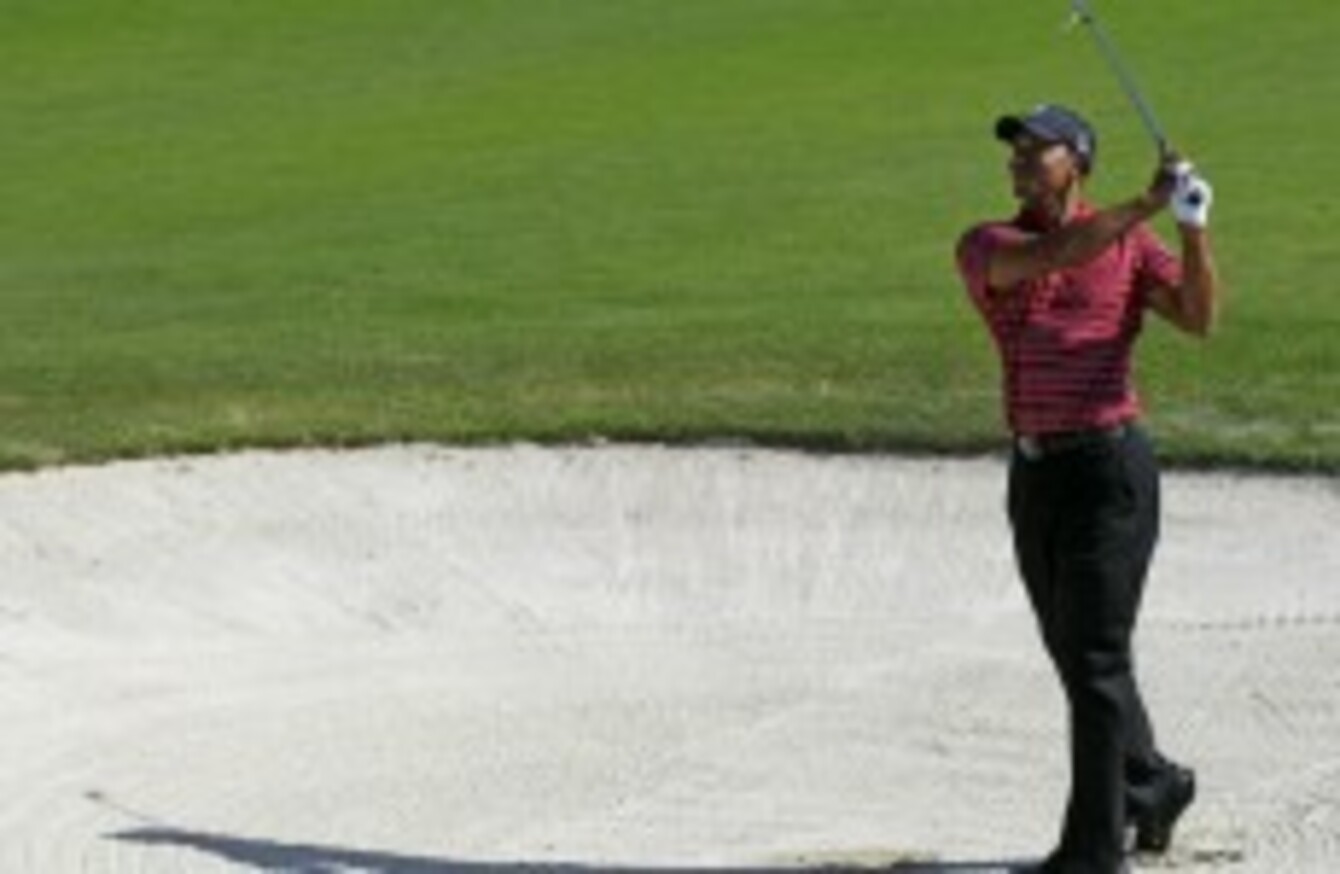 Silly sausage: Man arrested for throwing a hot dog at Tiger Woods1340 x 874