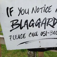 15 of the most Waterford things that have ever happened