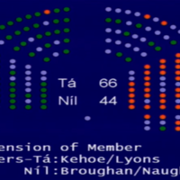 Government kicks out one of its own TDs after blazing D&Atilde;&iexcl;il row
