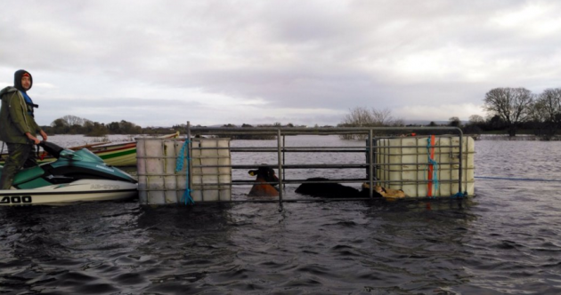 Farmers affected by flooding can apply for compensation from today