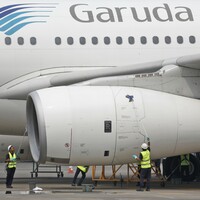 Plane delayed for four hours due to bee on board  