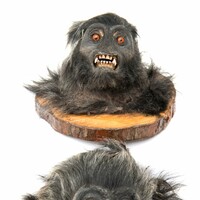 London man sentenced for having bestiality images and selling monkey heads on eBay