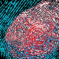 Gang members, DNA evidence and Making a Murderer: The burden of proving innocence in the US