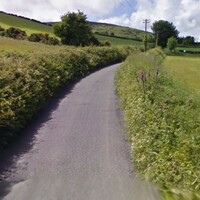 Man in his 60s killed in road accident in Co Wexford