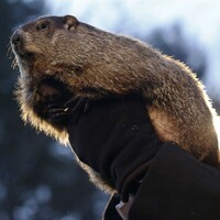 Spring is on the way according to this world-renowned weather forecaster