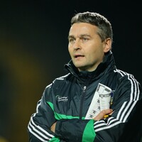 Second-half Limerick goals kill off Wexford's comeback hopes